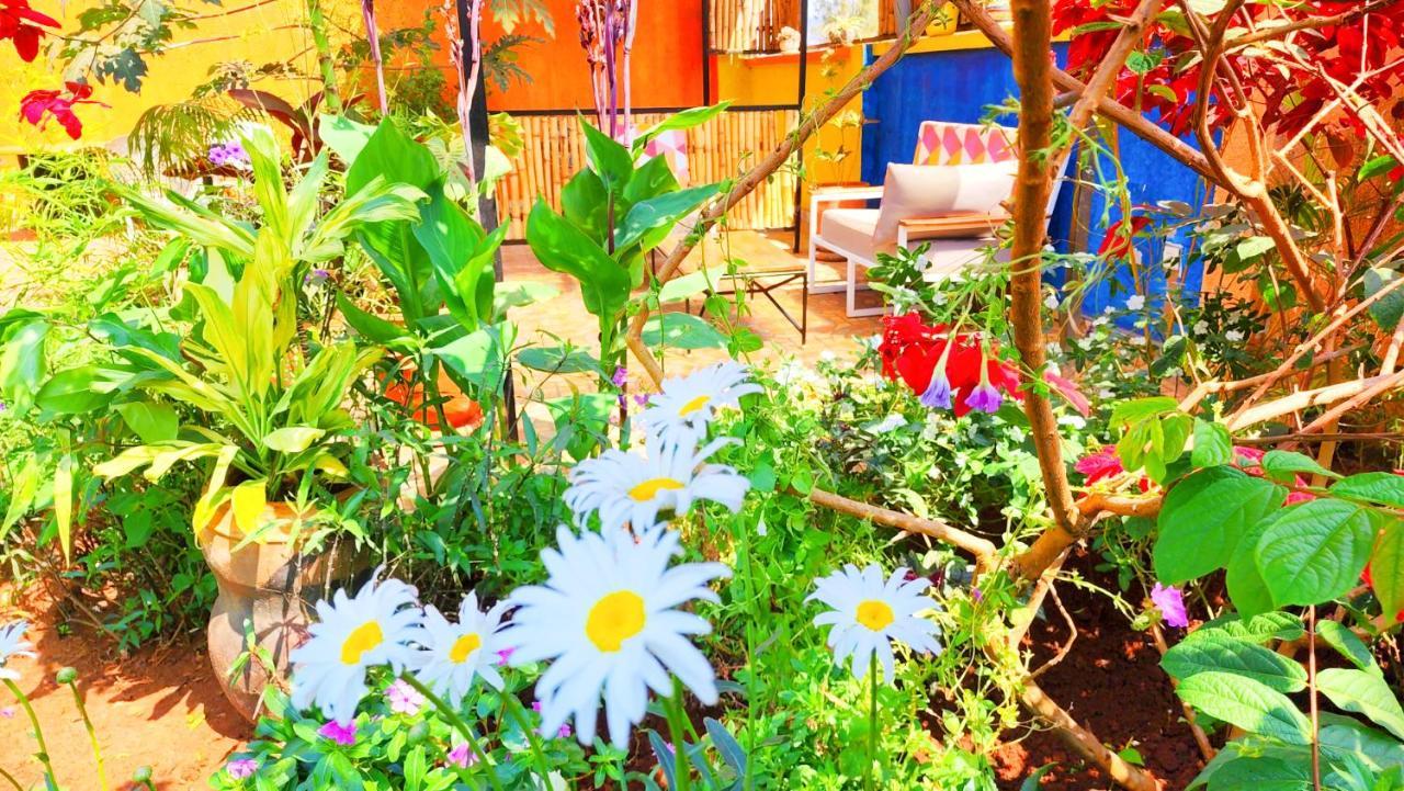 Yambi Guesthouse Κιγκάλι Εξωτερικό φωτογραφία